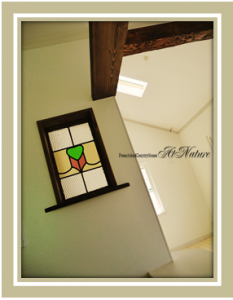 ステンドグラフ